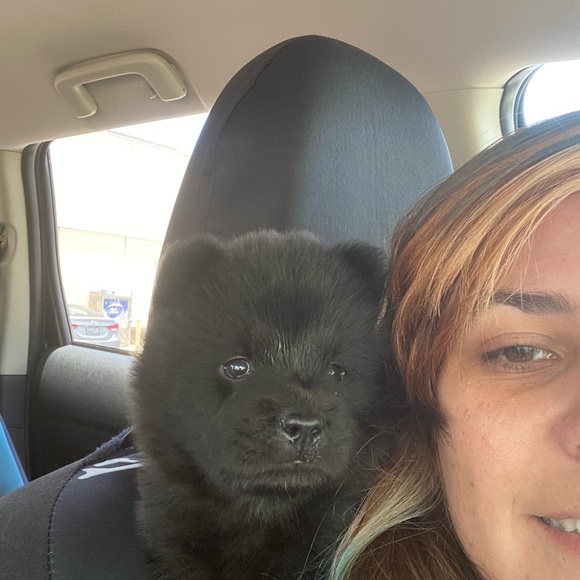 Meet your Posher, Yana - Picture 1 of 1